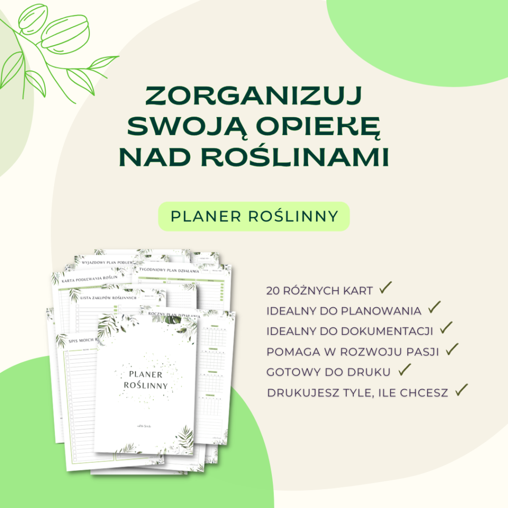 Planer roślinny Polish Jungle