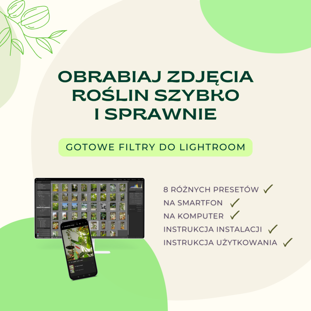 Presety do Lightroom Polish Jungle